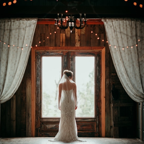 Sophia Tolli Wedding Gown - Picture 2 of 4